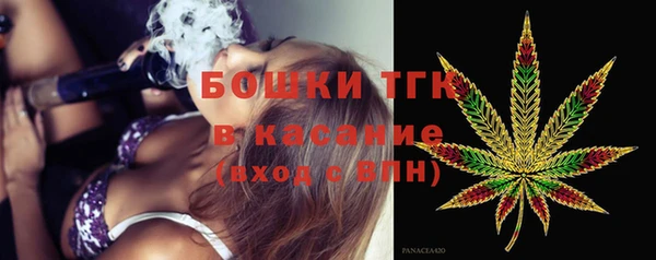 спайс Арсеньев