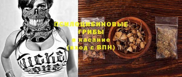 дурь Аркадак